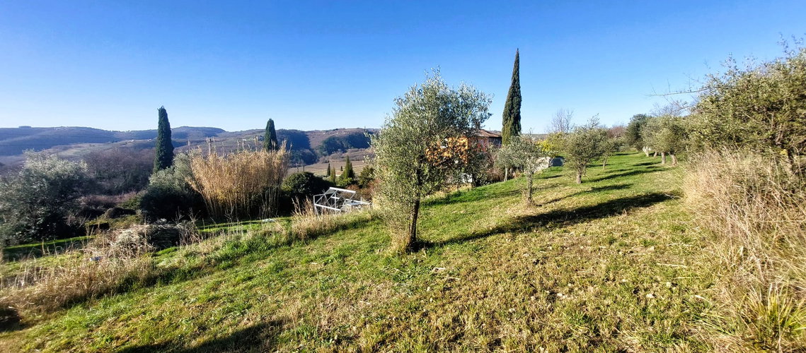 Lokacija: Obalno - kraška, Koper, Srgaši