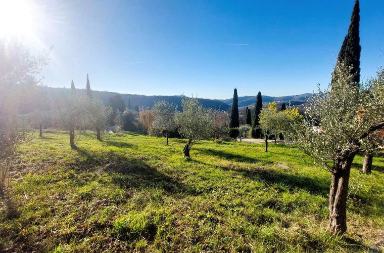 Location: Coastal-Karst, Koper, Srgaši