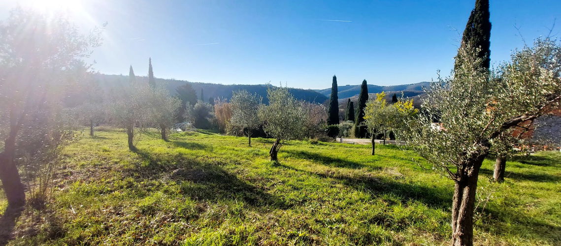 Lokacija: Obalno - kraška, Koper, Srgaši