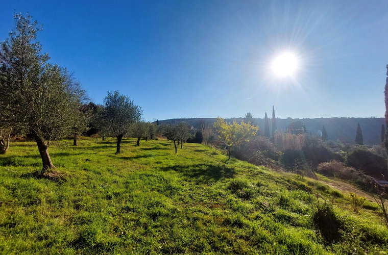 Lokacija: Obalno - kraška, Koper, Srgaši