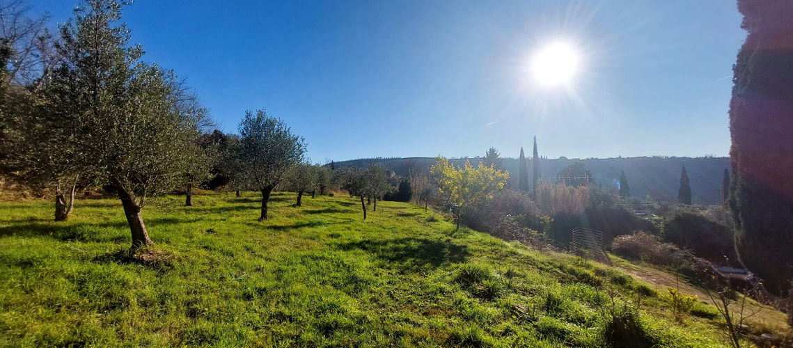 Lokacija: Obalno - kraška, Koper, Srgaši