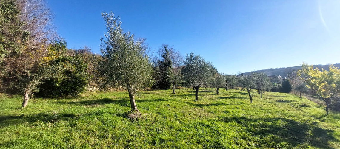 Lokacija: Obalno - kraška, Koper, Srgaši