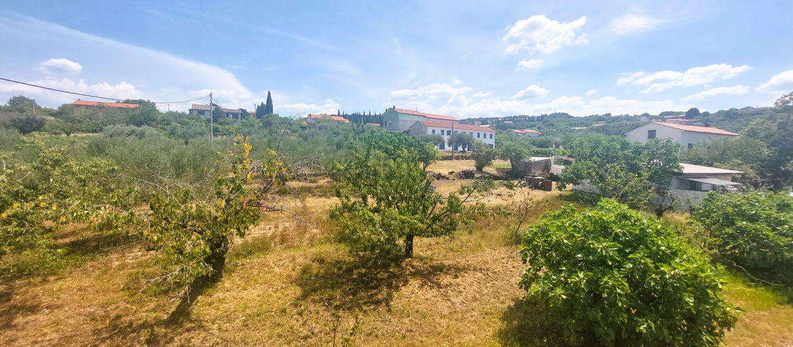 Lokacija: Obalno - kraška, Koper, Plavje