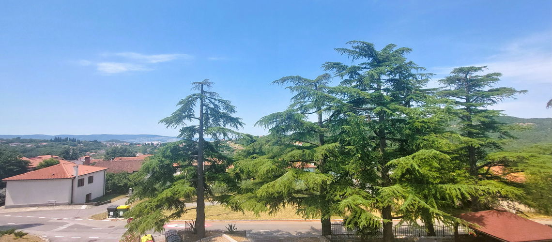 Lokacija: Obalno - kraška, Koper, Plavje
