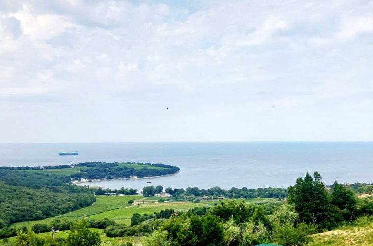 Lokacija: Obalno - kraška, Koper, Kolomban
