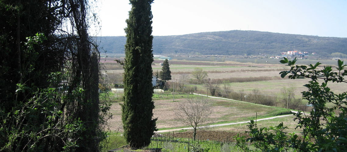 Lokacija: Obalno - kraška, Piran, Sečovlje