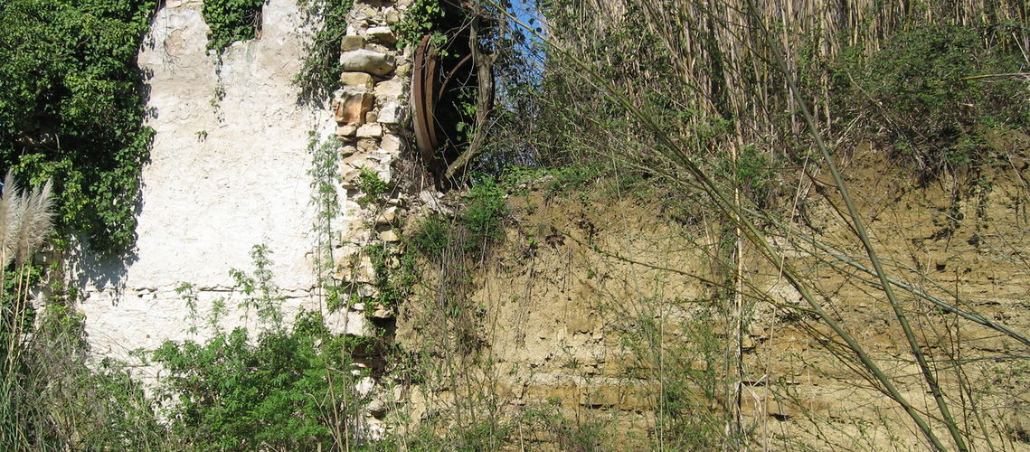 Lokacija: Obalno - kraška, Piran, Sečovlje