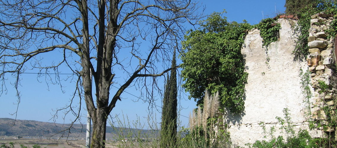 Lokacija: Obalno - kraška, Piran, Sečovlje