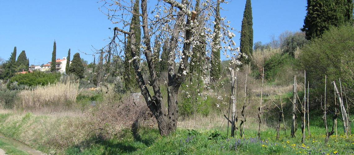Lokacija: Obalno - kraška, Piran, Sečovlje