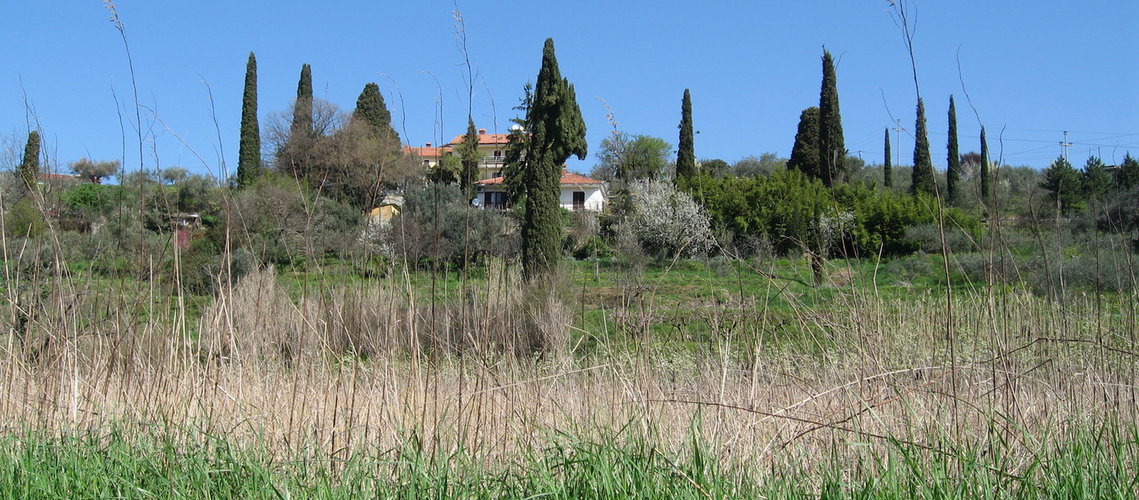 Lokacija: Obalno - kraška, Piran, Sečovlje
