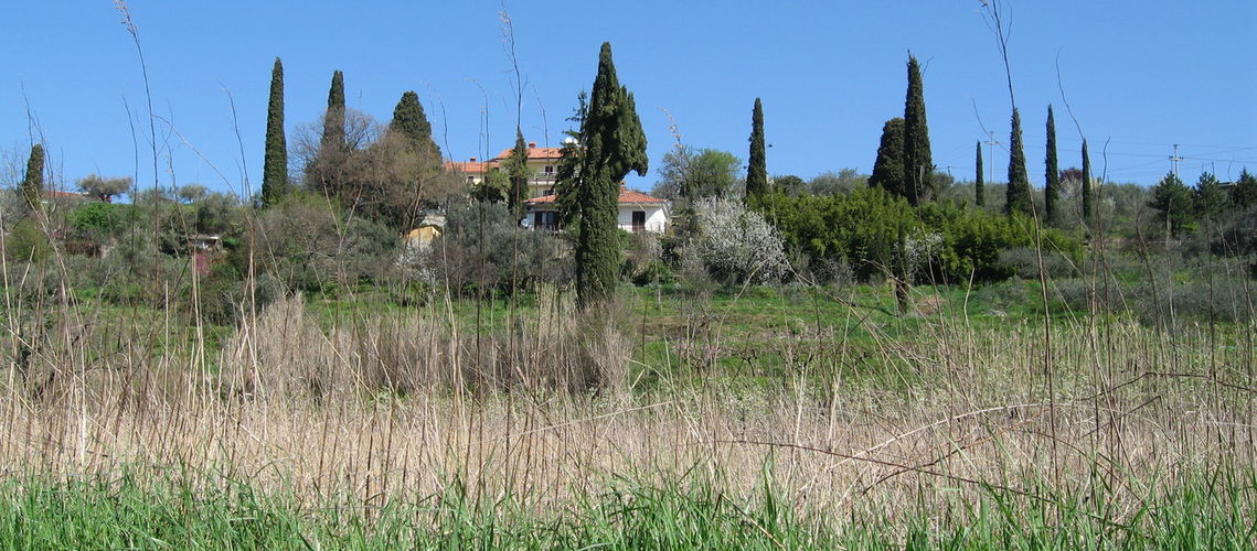 Lokacija: Obalno - kraška, Piran, Sečovlje