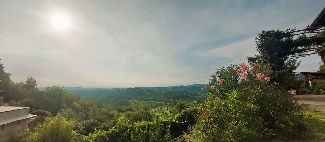 Lokacija: Goriška, Brda, Gonjače