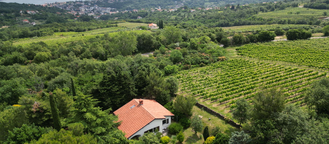 Lokacija: Obalno - kraška, Koper, Kolomban