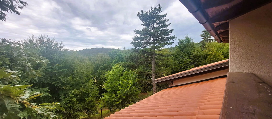 Lokacija: Obalno - kraška, Sežana, Plešivica