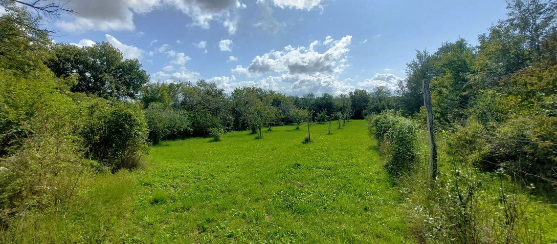 Nepremičnina: Prodaja, Hiša, Samostojna Lokacija: Obalno - kraška, Komen, Volčji Grad