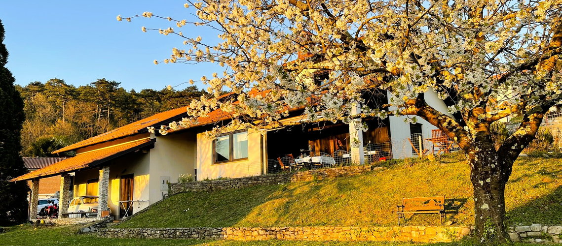 Lokacija: Obalno - kraška, Sežana, Sežana