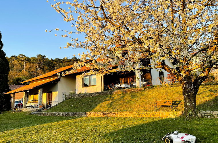 Lokacija: Obalno - kraška, Sežana, Sežana