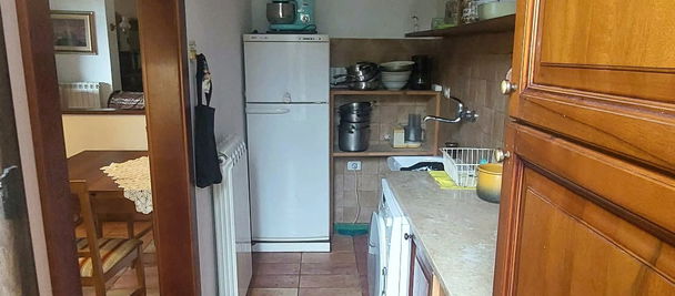 Lokacija: Obalno - kraška, Sežana, Plešivica