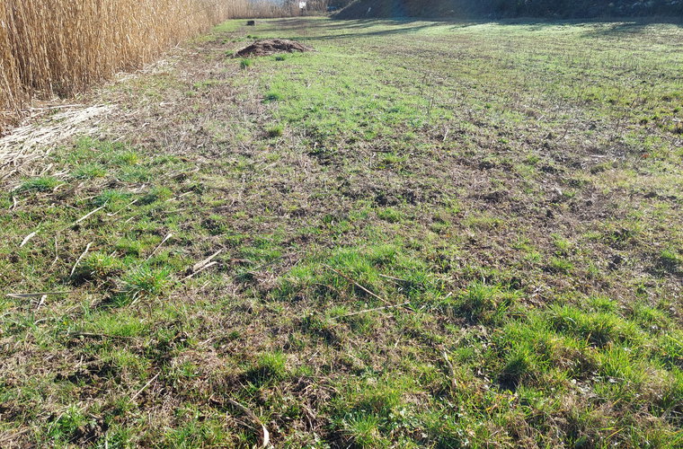 Lokacija: Obalno - kraška, Koper, Kampel