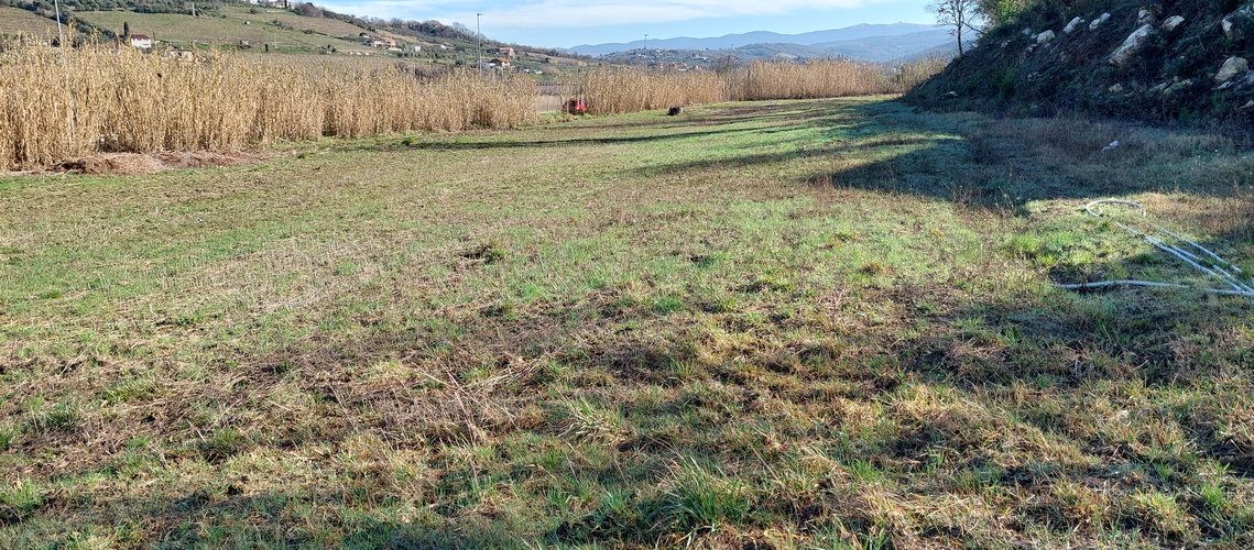 Lokacija: Obalno - kraška, Koper, Kampel