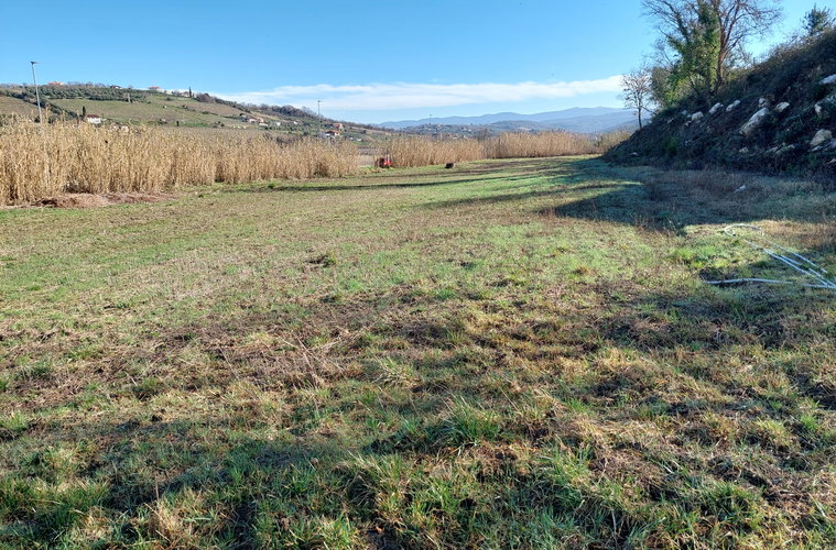 Lokacija: Obalno - kraška, Koper, Kampel