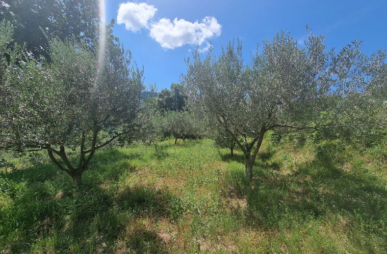 Lokacija: Obalno - kraška, Koper, Bošamarin