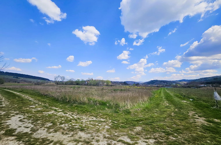 Lokacija: Obalno - kraška, Koper, Vanganel
