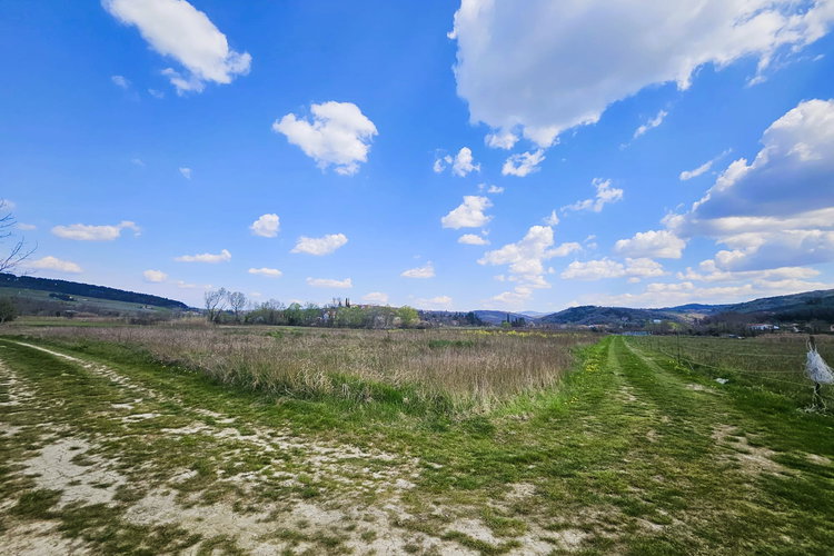 Lokacija: Obalno - kraška, Koper, Vanganel