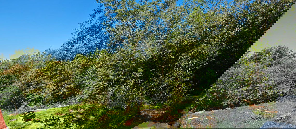 Lokacija: Hrvaška, Istarska županija, Buje, Kaštel