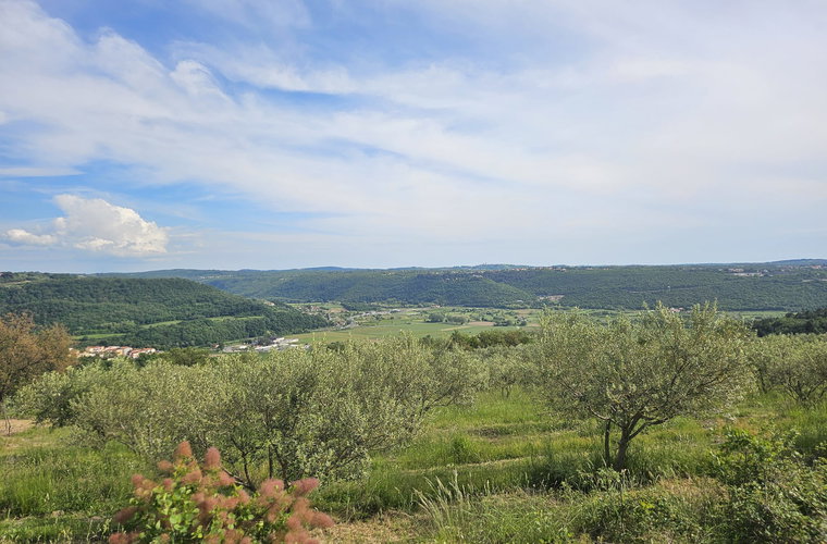 Lokacija: Obalno - kraška, Piran, Sečovlje