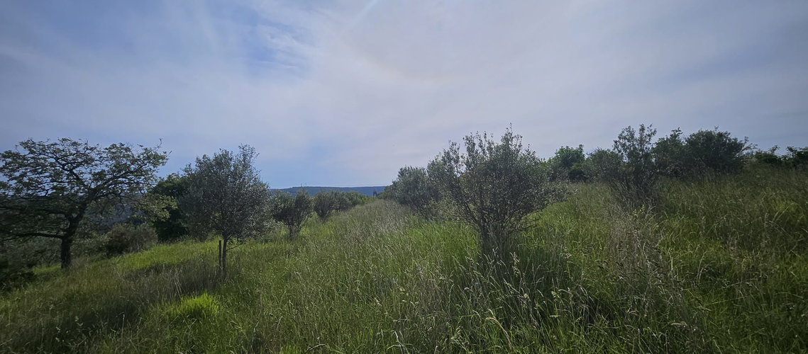 Lokacija: Obalno - kraška, Piran, Sečovlje