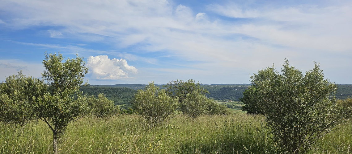 Lokacija: Obalno - kraška, Piran, Sečovlje