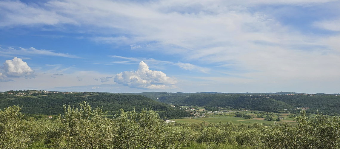 Lokacija: Obalno - kraška, Piran, Sečovlje