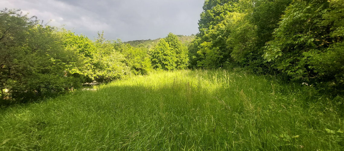 Lokacija: Obalno - kraška, Sežana, Prelože pri Lokvi