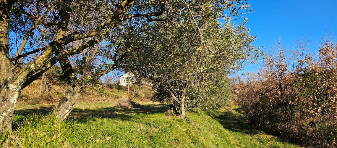 Lokacija: Obalno - kraška, Izola, Korte