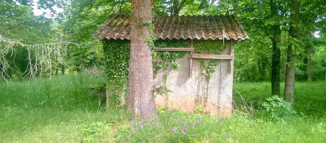 Lokacija: Obalno - kraška, Sežana, Okolica