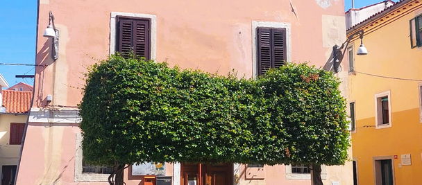 Real estate: Sale, Apartment, 3-bedroom Location: Coastal-Karst, Koper, Center