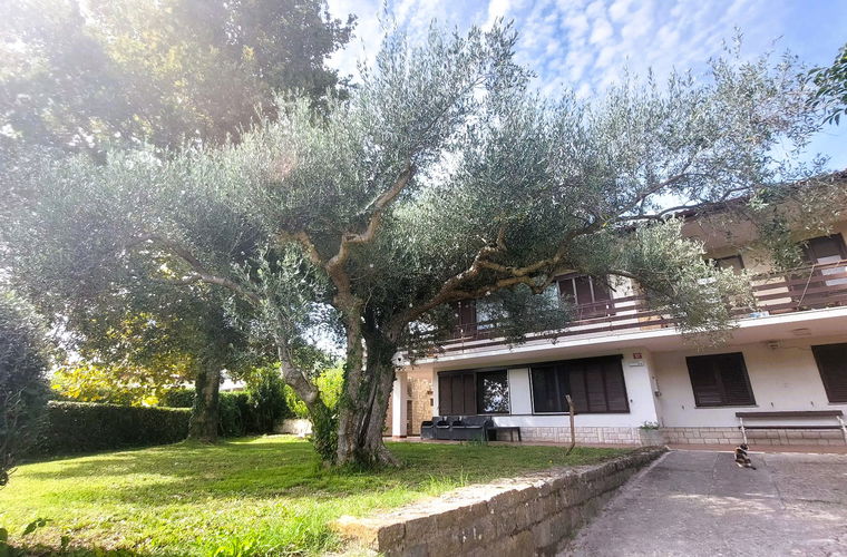 Lokacija: Obalno - kraška, Piran, Seča