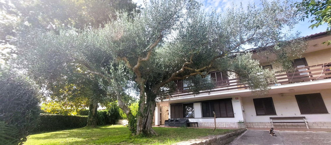 Nepremičnina: Prodaja, Hiša, Samostojna Lokacija: Obalno - kraška, Piran, Seča