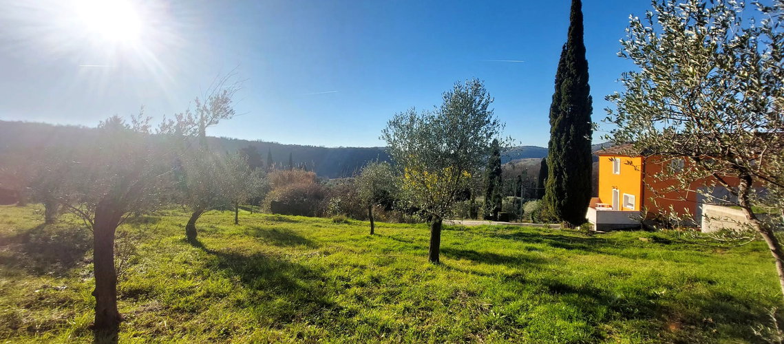 Lokacija: Obalno - kraška, Koper, Srgaši