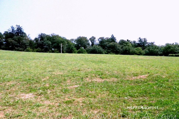 Lokacija: Podravska, Hoče - Slivnica, Radizel