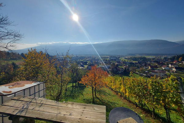 Lokacija: Podravska, Selnica ob Dravi, Selnica ob Dravi
