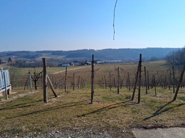 Lokacija: Pomurska, Puconci, Dolina