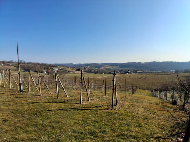 Lokacija: Pomurska, Puconci, Dolina