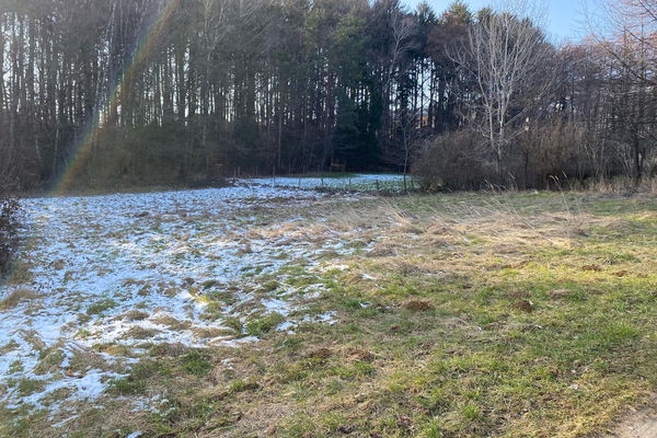 Lokacija: Podravska, Rače - Fram, Fram