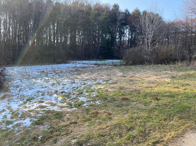 Lokacija: Podravska, Rače - Fram, Fram