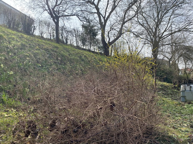 Lokacija: Podravska, Pesnica, Vosek