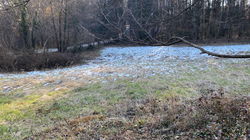 Lokacija: Podravska, Rače - Fram, Fram