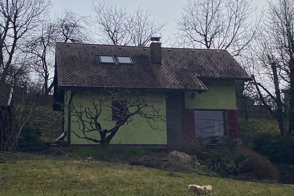 Lokacija: Podravska, Pesnica, Vosek