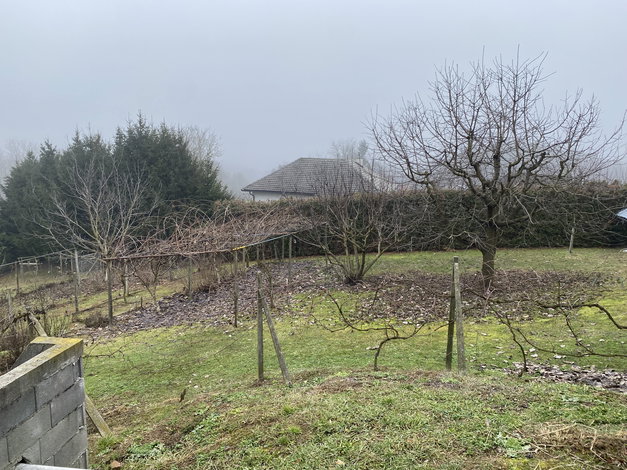 Lokacija: Podravska, Ormož, Šardinje